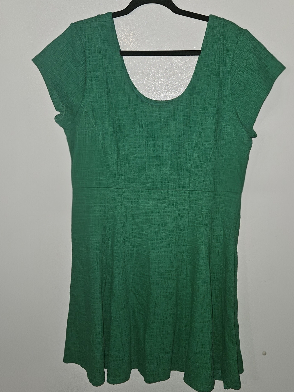 Mauve - Green Scoop Neck Fit-and-Flare Dress